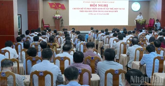 Kinh tế tập thể Cà Mau trước yêu cầu làm mới chính mình