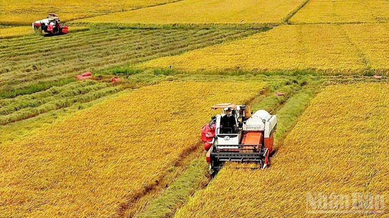 Kinh tế Tây Ninh đạt mức tăng trưởng hai con số