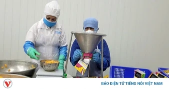 Kinh tế tỉnh Đồng Tháp quý I đạt nhiều con số bứt phá