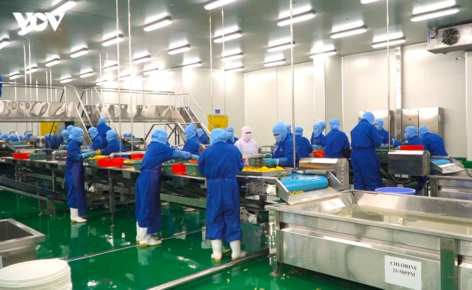 Kinh tế tư nhân đánh thức tiềm năng vùng biên Đồng Tháp Kinh tế tư nhân đánh thức tiềm năng vùng biên Đồng Tháp