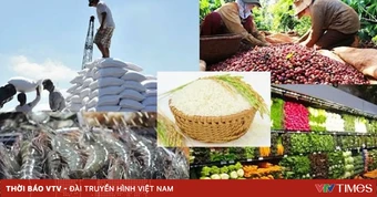 Kinh tế tư nhân là chìa khóa tăng trưởng của TP Hồ Chí Minh