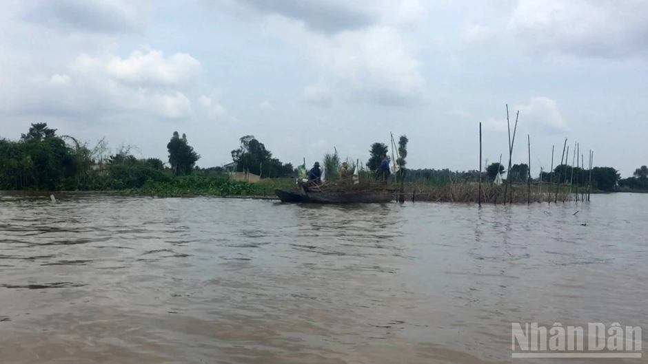 Kỳ lạ loài cá ngựa sông