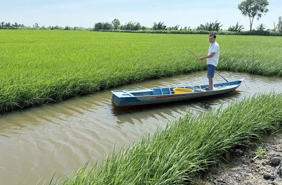 Kỳ tích 'bí thư lúa' Kỳ tích 'bí thư lúa'