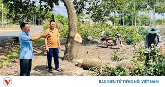 Kỳ tích giải phóng mặt bằng các dự án cao tốc trọng điểm ở Đồng Nai