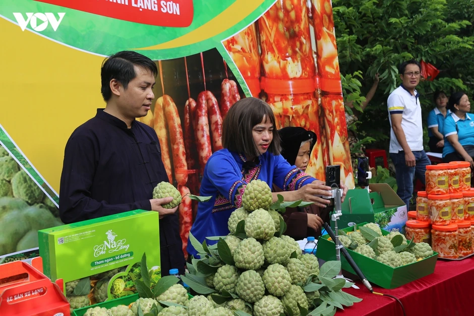 Kỳ vọng mở đường cho nông nghiệp công nghệ cao từ thủ phủ na Chi Lăng Kỳ vọng mở đường cho nông nghiệp công nghệ cao từ thủ phủ na Chi Lăng