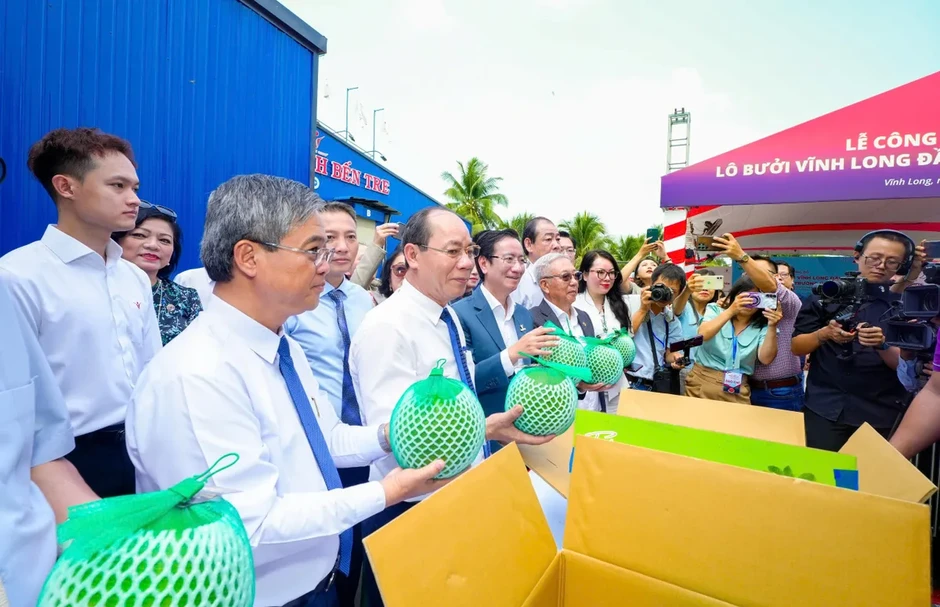Kỳ vọng từ lô bưởi đầu tiên xuất khẩu sang Australia Kỳ vọng từ lô bưởi đầu tiên xuất khẩu sang Australia