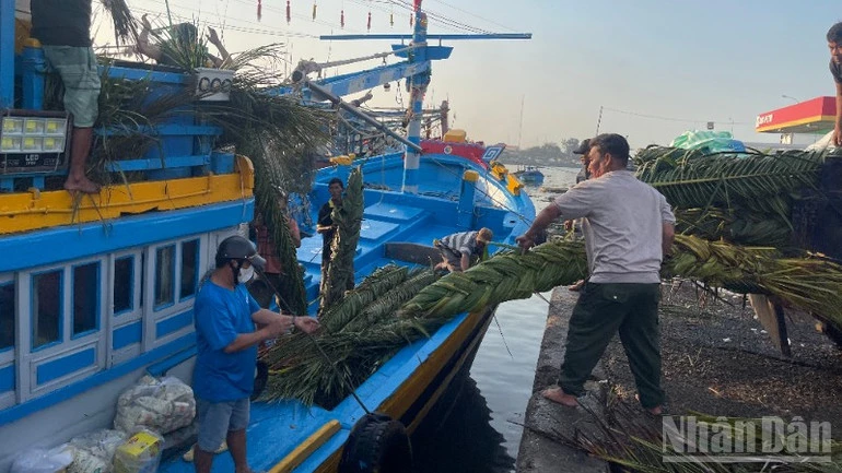 Lâm Đồng chuyển đổi hơn 1.000 tàu cá để bảo vệ nguồn lợi thủy sản Lâm Đồng chuyển đổi hơn 1.000 tàu cá để bảo vệ nguồn lợi thủy sản