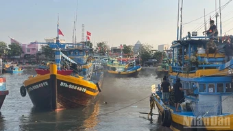 Lâm Đồng chuyển đổi hơn 1.000 tàu cá để bảo vệ nguồn lợi thủy sản