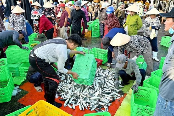 Lâm Đồng kỳ vọng bội thu vụ cá Nam