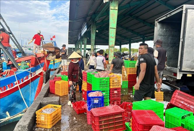 Lâm Đồng kỳ vọng bội thu vụ cá Nam