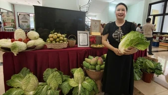Lâm Đồng mở rộng đầu ra nông sản bằng liên kết chuỗi và thương mại điện tử