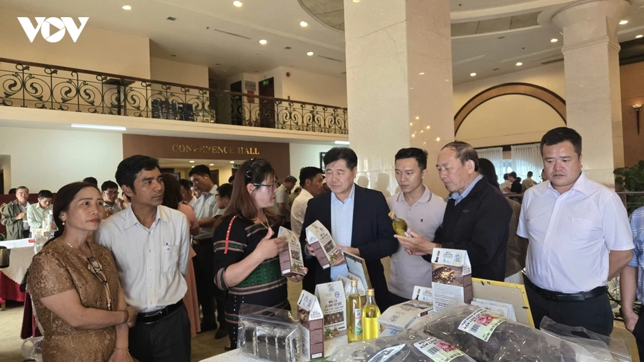 Lâm Đồng nâng tầm giá trị nông sản bằng chế biến sâu Lâm Đồng nâng tầm giá trị nông sản bằng chế biến sâu
