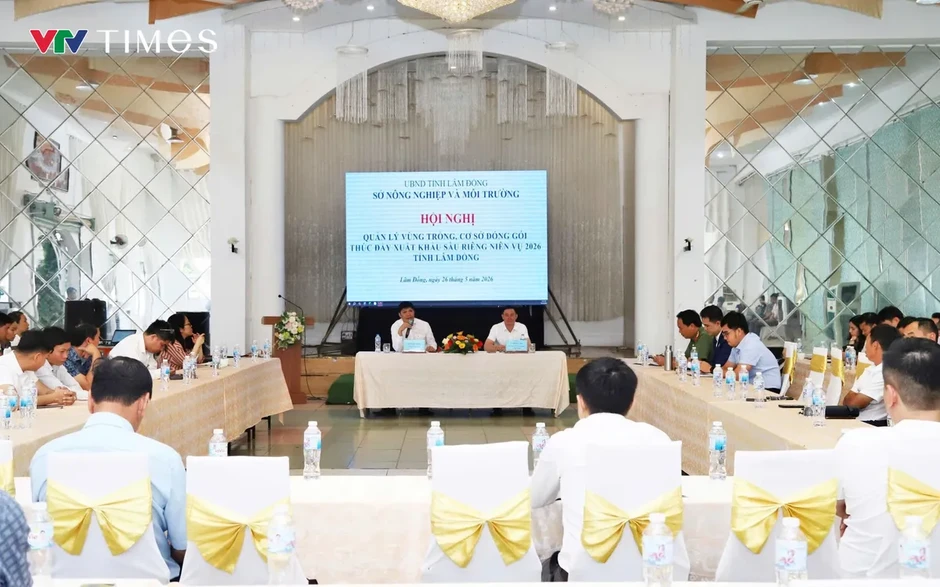 Lâm Đồng siết quản lý mã số vùng trồng sầu riêng xuất khẩu Lâm Đồng siết quản lý mã số vùng trồng sầu riêng xuất khẩu