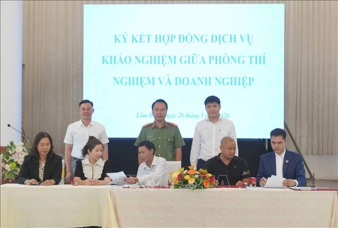 Lâm Đồng tăng chất lượng sầu riêng xuất khẩu trước mùa vụ mới Lâm Đồng tăng chất lượng sầu riêng xuất khẩu trước mùa vụ mới