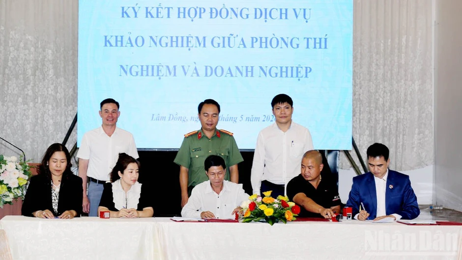Lâm Đồng tăng cường quản lý vùng trồng, cơ sở đóng gói phục vụ xuất khẩu sầu riêng Lâm Đồng tăng cường quản lý vùng trồng, cơ sở đóng gói phục vụ xuất khẩu sầu riêng