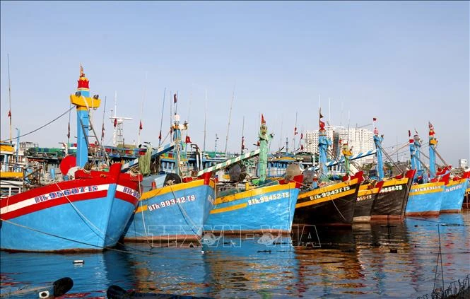 Lâm Đồng thành lập Tổ công tác liên ngành chống khai thác IUU Lâm Đồng thành lập Tổ công tác liên ngành chống khai thác IUU