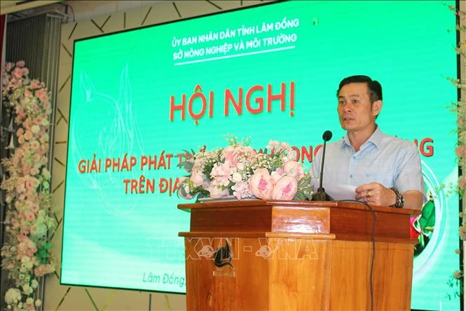 Lâm Đồng: Tìm giải pháp tăng chất lượng thanh long xuất khẩu Lâm Đồng: Tìm giải pháp tăng chất lượng thanh long xuất khẩu