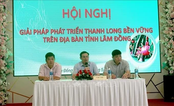 Lâm Đồng: Tìm giải pháp tăng chất lượng thanh long xuất khẩu