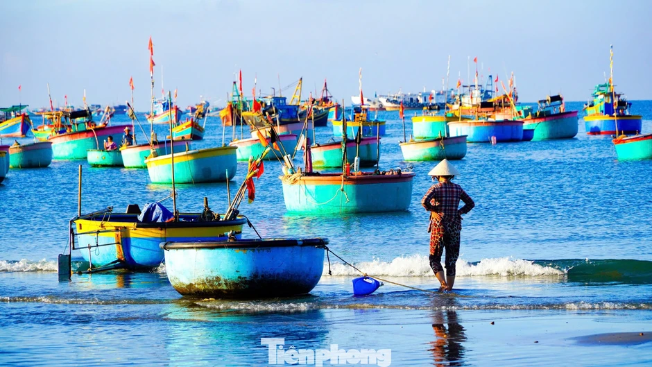 Lâm Đồng - Từ tầm nhìn chiến lược đến hành động phát triển Lâm Đồng - Từ tầm nhìn chiến lược đến hành động phát triển