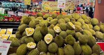Làm gì khi sầu riêng Việt Nam đối thủ mới?