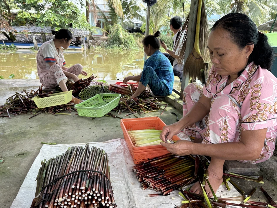 Làm giàu từ 'cỏ dại' ở vùng đất phèn mặn Làm giàu từ 'cỏ dại' ở vùng đất phèn mặn
