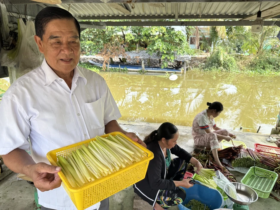Làm giàu từ 'cỏ dại' ở vùng đất phèn mặn Làm giàu từ 'cỏ dại' ở vùng đất phèn mặn
