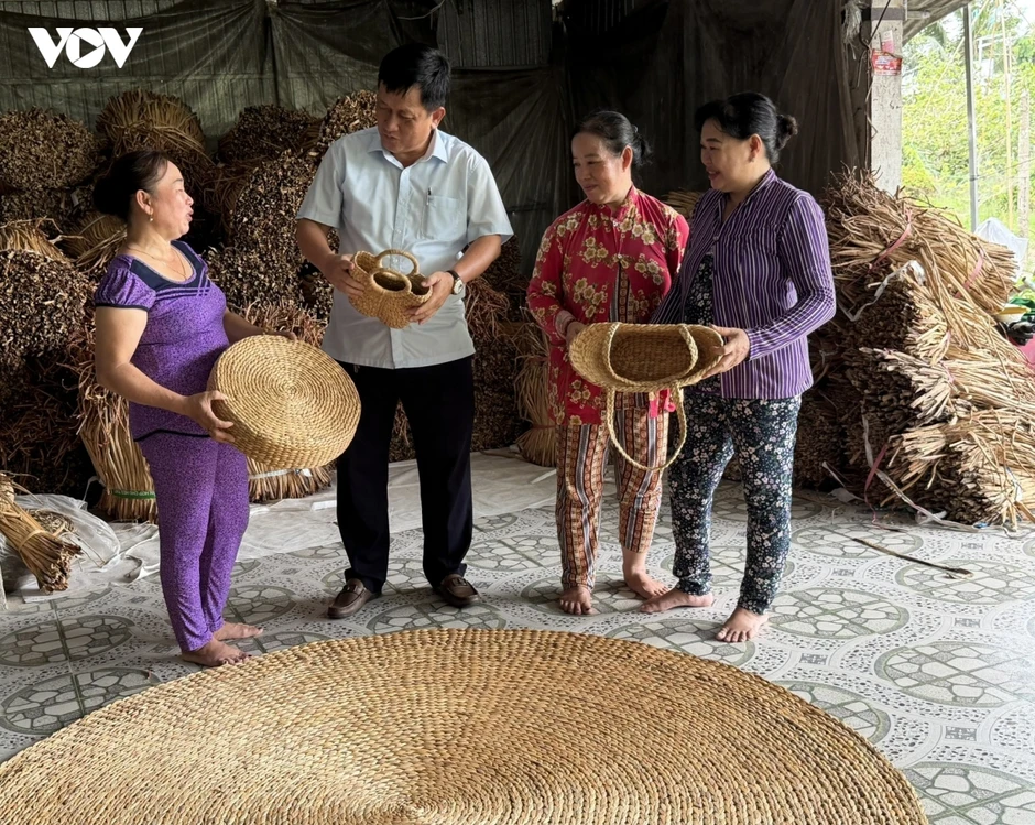 Làm giàu từ cọng lục bình trôi nổi