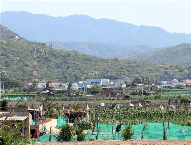 Làm rõ vướng mắc gây chậm tiến độ dự án điện hạt nhân Ninh Thuận 1 và 2 Làm rõ vướng mắc gây chậm tiến độ dự án điện hạt nhân Ninh Thuận 1 và 2