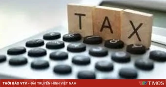 Làm sạch dữ liệu thuế: Gỡ điểm nghẽn cho doanh nghiệp rút lui khỏi thị trường