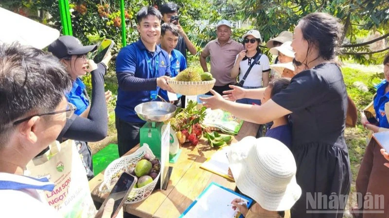 Lâm Sơn đánh thức tiềm năng phát triển Lâm Sơn đánh thức tiềm năng phát triển