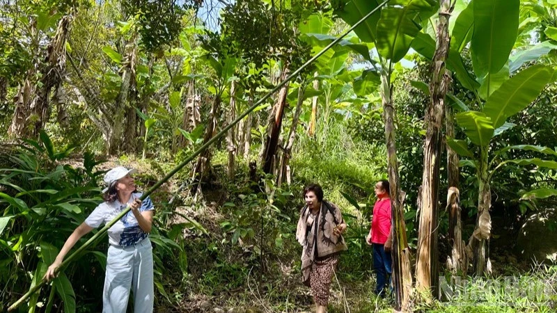Lâm Sơn đánh thức tiềm năng phát triển Lâm Sơn đánh thức tiềm năng phát triển