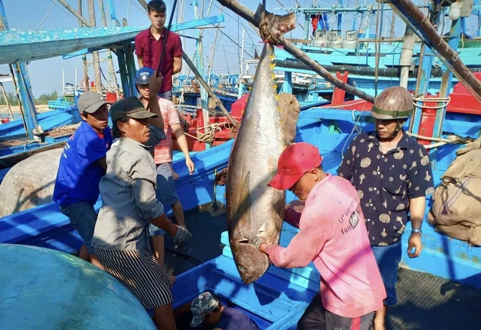 'Làn bơi' qua Mỹ của cá ngừ gặp nhiều rào cản
