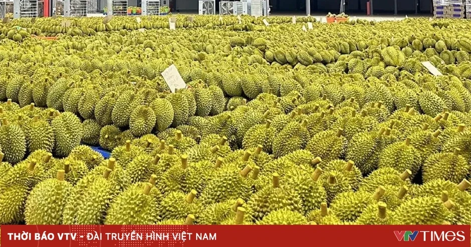Lần đầu tiên xuất khẩu rau quả Việt Nam vượt mốc 1 tỷ USD/tháng Lần đầu tiên xuất khẩu rau quả Việt Nam vượt mốc 1 tỷ USD/tháng