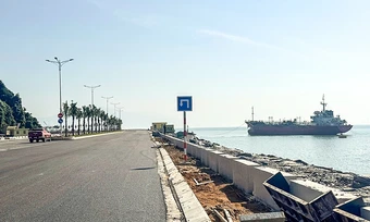 Liên danh Việt - Hà Lan đầu tư bến cảng container Liên Chiểu gần 1,8 tỷ USD - Báo TinVina