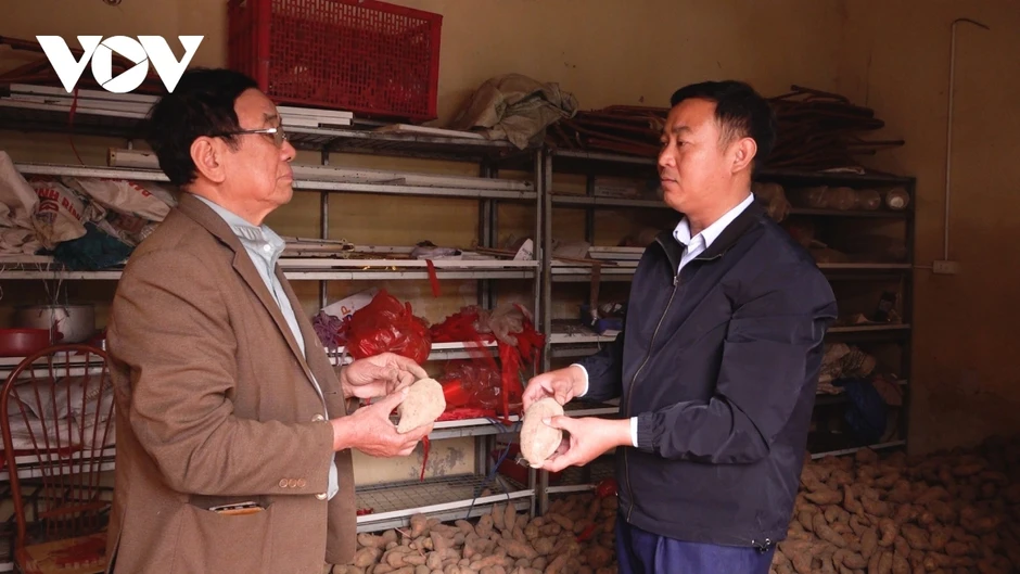 Liên kết hợp tác xã - doanh nghiệp: Cần một cơ chế hợp đồng dài hạn Liên kết hợp tác xã - doanh nghiệp: Cần một cơ chế hợp đồng dài hạn
