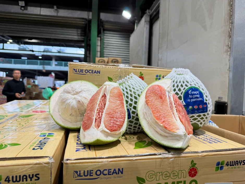 Lô bưởi Việt đầu tiên vào Úc là thành quả đàm phán và chuẩn hóa chất lượng Lô bưởi Việt đầu tiên vào Úc là thành quả đàm phán và chuẩn hóa chất lượng