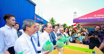Lô bưởi Việt Nam đầu tiên xuất khẩu chính ngạch sang Úc