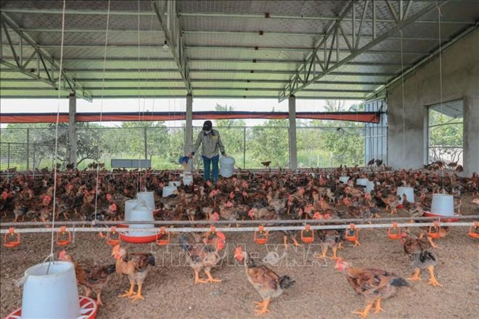 Loạt chính sách kinh tế mới có hiệu lực từ tháng 8/2026 Loạt chính sách kinh tế mới có hiệu lực từ tháng 8/2026