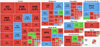 Loạt cổ phiếu nằm sàn, VN-Index thủng mốc 1.600 điểm
