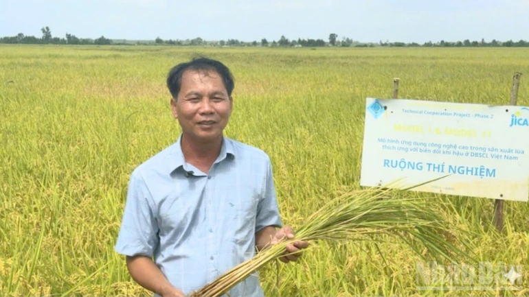 Lợi ích sản xuất lúa cải tiến không cày xới đất Lợi ích sản xuất lúa cải tiến không cày xới đất
