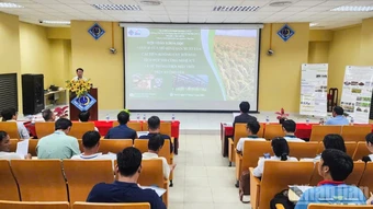 Lợi ích sản xuất lúa cải tiến không cày xới đất