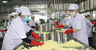 Lợi thế vàng để phát triển kinh tế đa dạng