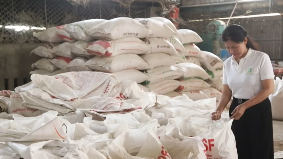 Lúa được mùa, giá xuống thấp, nông dân Hà Tĩnh chật vật tìm đầu ra