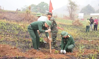 Lực lượng vũ trang tỉnh Điện Biên chung sức cùng nhân dân trồng mới cây cà-phê, mắc-ca