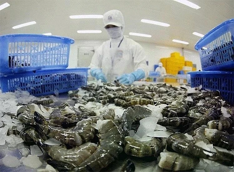 Mỹ áp thuế mới lên hàng nhập khẩu: Doanh nghiệp Việt chịu tác động ra sao?