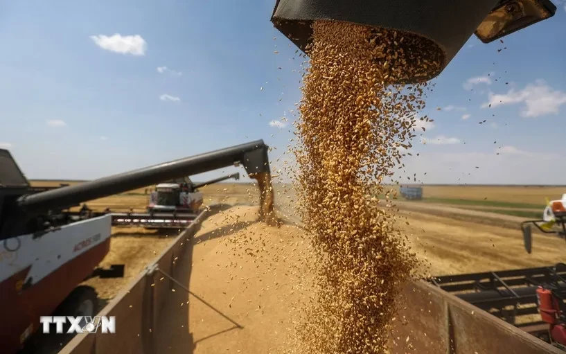 Mỹ cam kết cùng G20 ổn định lương thực và phân bón Mỹ cam kết cùng G20 ổn định lương thực và phân bón
