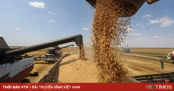 Mỹ cam kết cùng G20 ổn định lương thực và phân bón