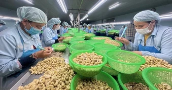 Mỹ hoàn thuế, doanh nghiệp Việt Nam có được hưởng lợi?