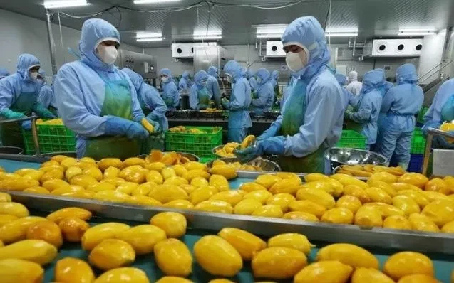 Mỹ thúc đẩy xuất khẩu nông sản sang Việt Nam Mỹ thúc đẩy xuất khẩu nông sản sang Việt Nam