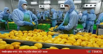 Mỹ thúc đẩy xuất khẩu nông sản sang Việt Nam